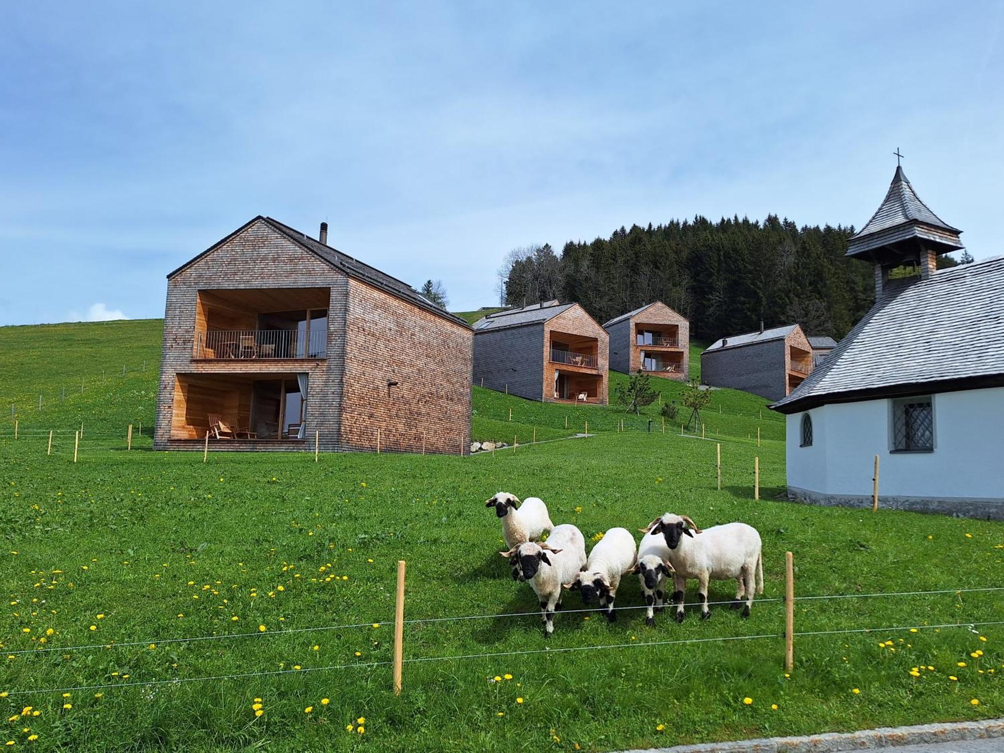 Wohnung Rheintal Im Alpenvorland Batschuns Eksteriør billede
